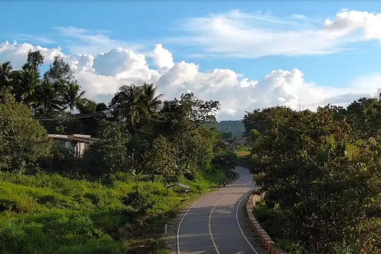 中铁十局承建的东帝汶既有路升级改造项目顺利通过验收