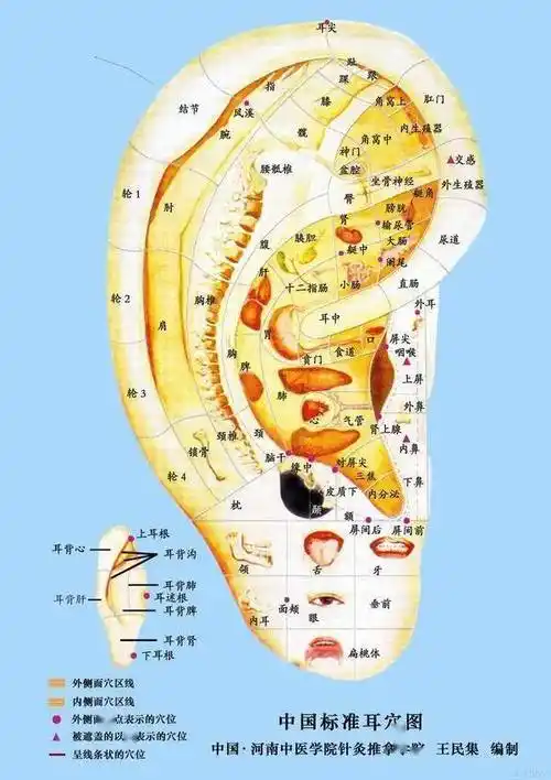 耳朵上出现这些特征是大病的征兆