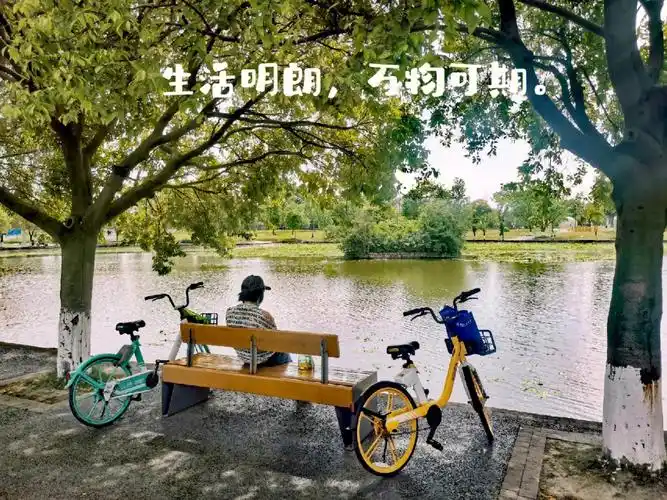 生活明朗万物可期