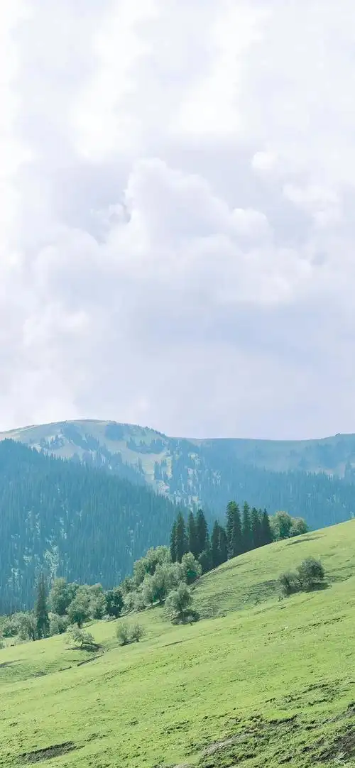 回应: 最近喜欢的绿色壁纸——清凉护眼(更新)