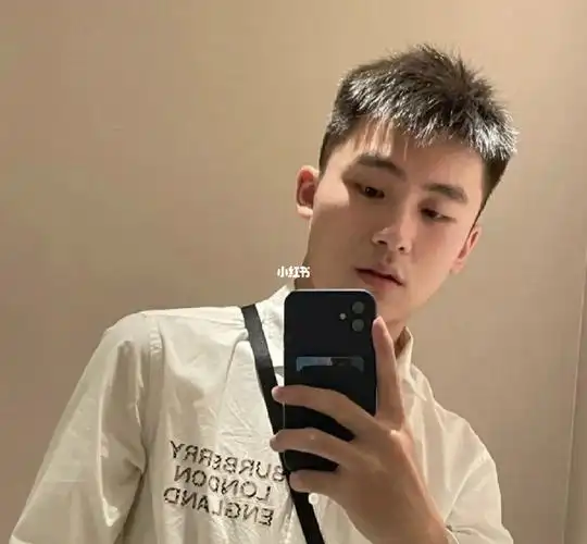 年轻的男生不太喜欢把自己的额头露出来,那么大家不妨试试这款小碎发