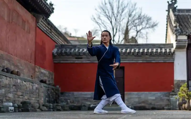 传统武术:武当八卦掌,实战技法教学,躺泥步与掌形.