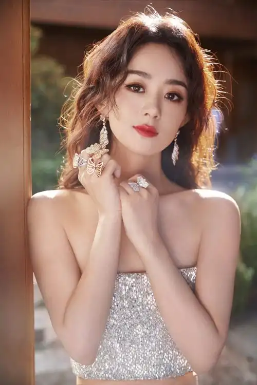 赵丽颖闪钻礼服