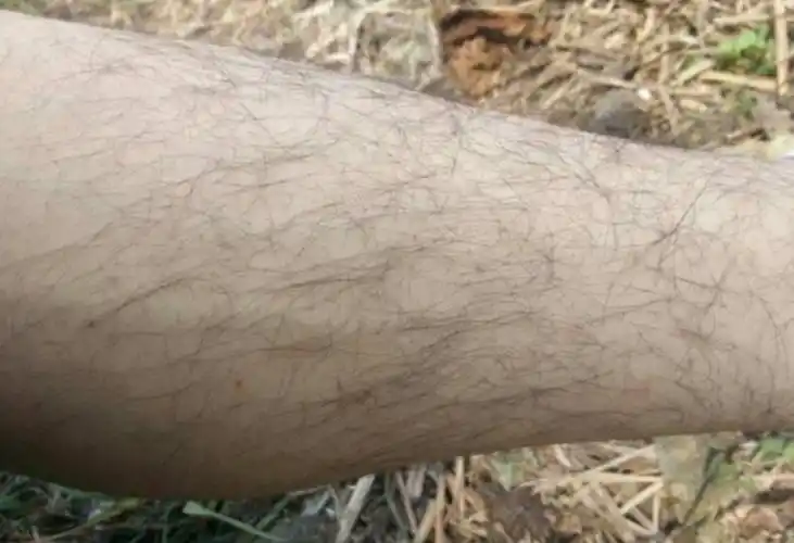 世界上腿毛最贵的女人,她的一根腿毛,足够普通人奋斗一辈子