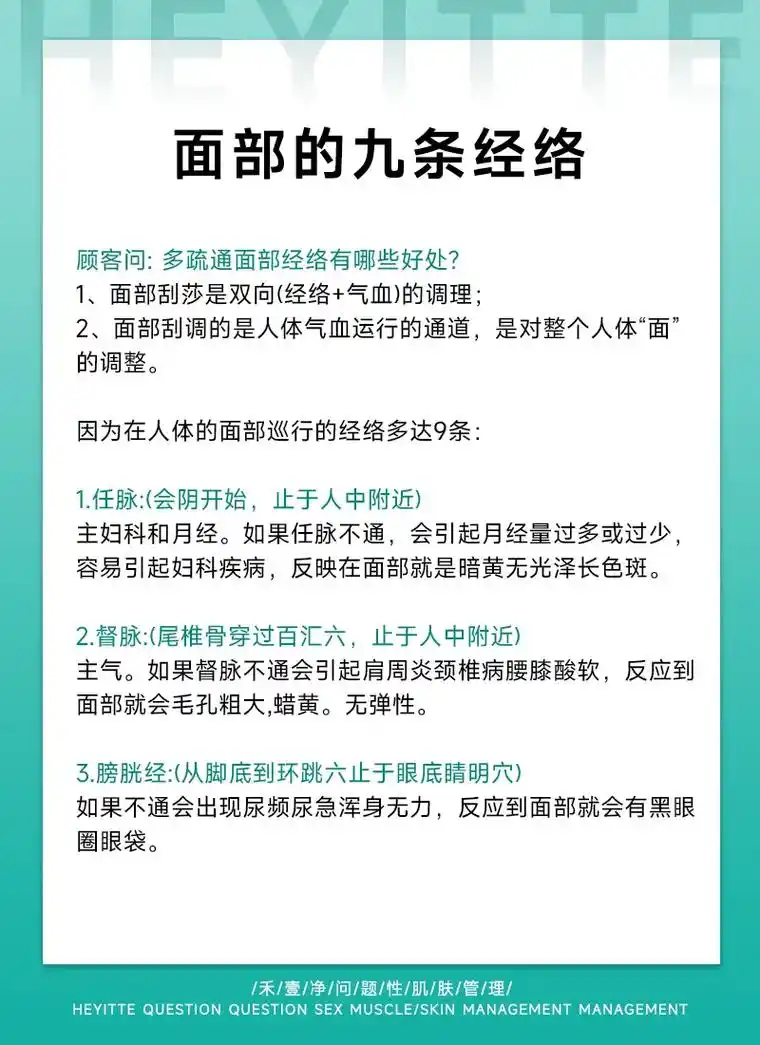 面部的九条经络.#美容院加盟 皮肤管理店专业知识分享,面部的 - 抖音