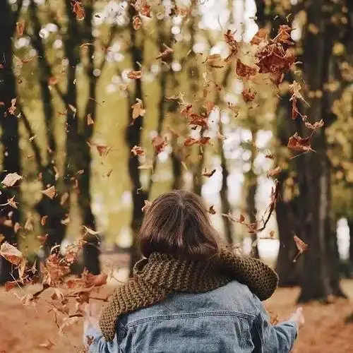 秋天落叶的5大创意拍法照片让人眼前一亮