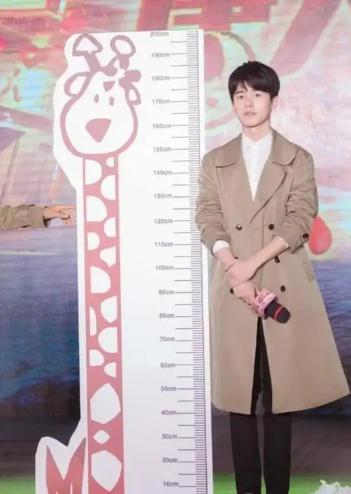 别被明星的真实身高骗了,沈腾马天宇竟然1米8,郭富城只有167