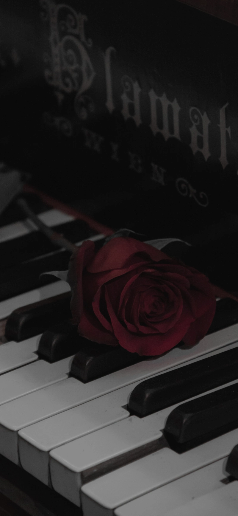 今日黑色系壁纸!