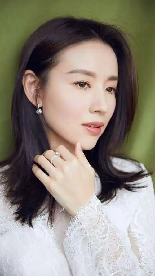 茗洋娱乐—美女明星—董洁