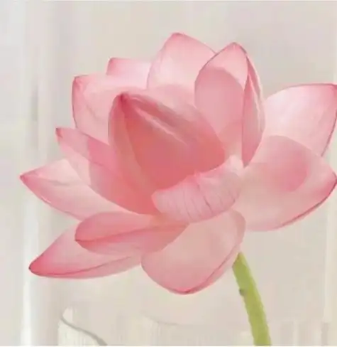 头像女仙气莲花 女生头像图片大全 -【爱个性】