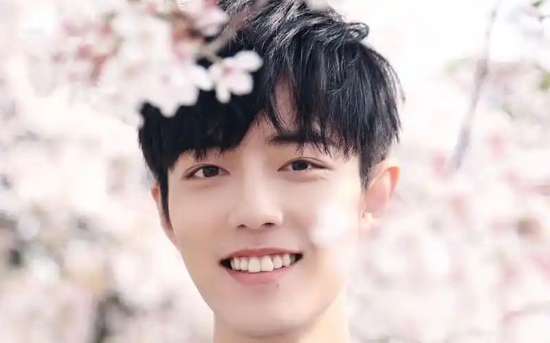 世界突然变得好安静-肖战唯美向剪辑