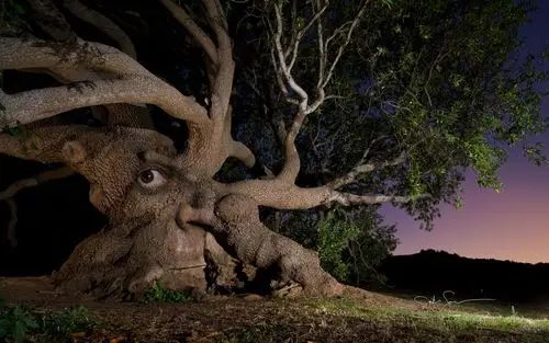 诡异的windows 7官方主题:错觉