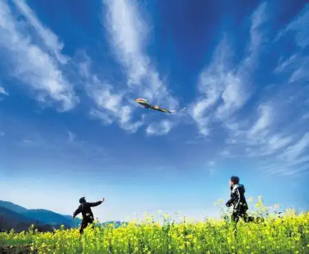 追风筝的人坦然面对自己的人才能活得不累