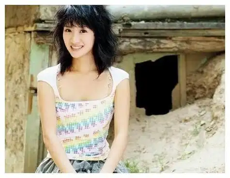 陈格的代表作品《玉蜻蜓》,《红楼梦》,《画中情》等.