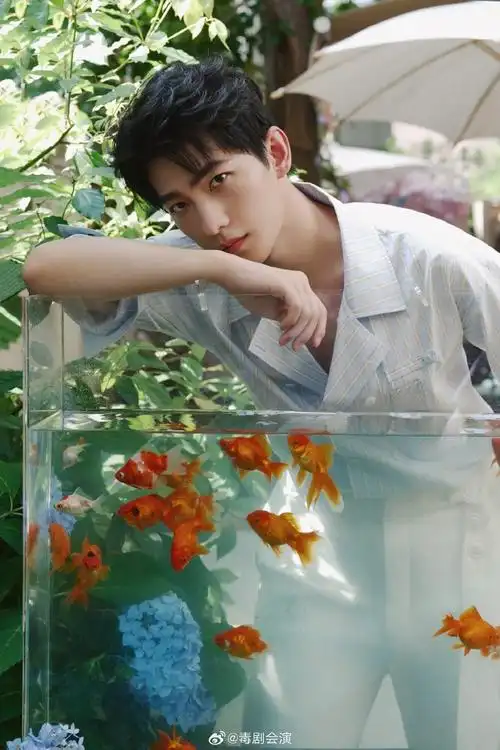 杨洋蓝白纹衬衫#杨洋这个新造型好帅啊!