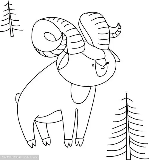 森林里的年轻可爱的有角盘羊