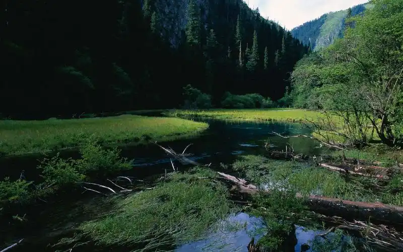 九寨沟山水风景,九寨沟,山水,风景,高清壁纸,桌面图片-壁纸族