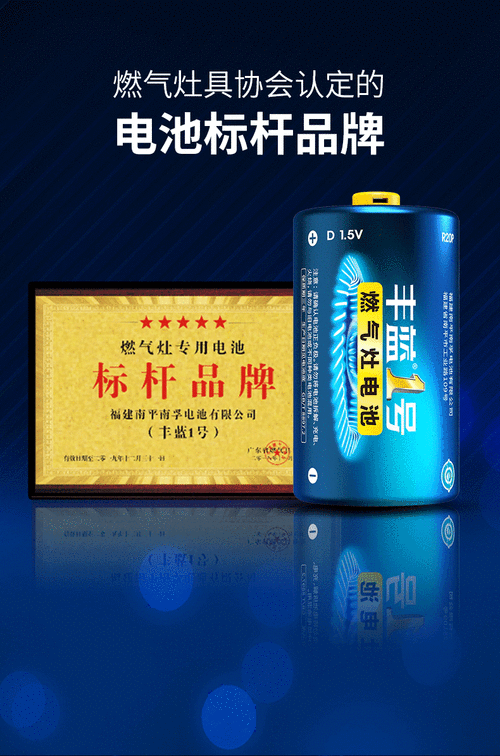 南孚丰蓝1号电池燃气灶煤气灶天然气热水器一号 r20p碳性d号电池