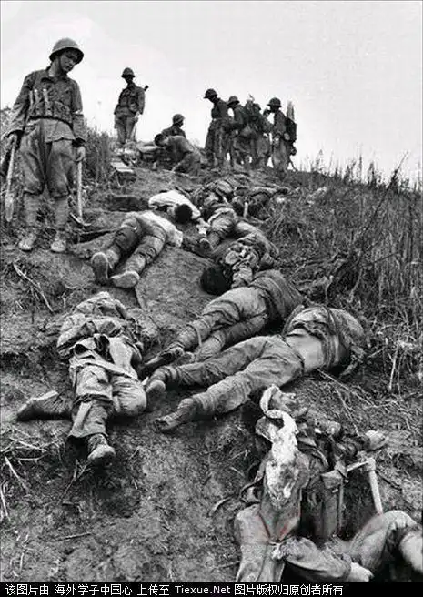 此时,由于战斗尚未完全结束,烈士们的遗体还来不及