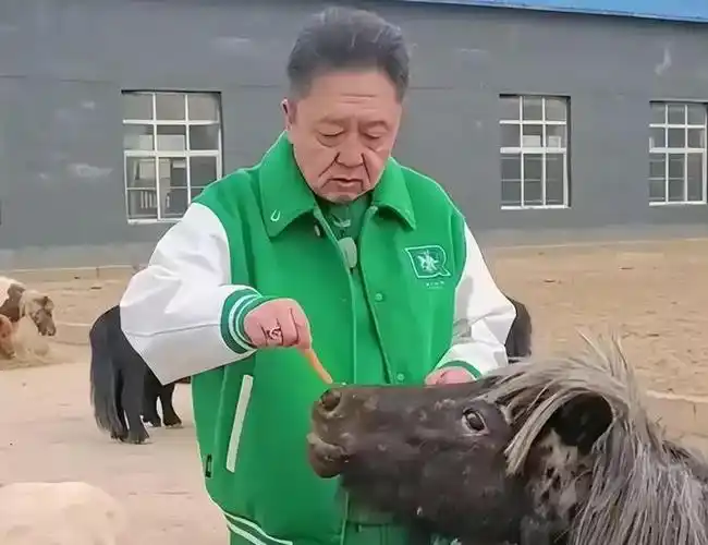 55岁似70岁|毛宁|吴京|明朝|郭德纲|白慧明|国防部门|相声演员|中国古