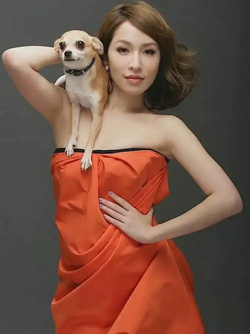 萧亚轩的狗狗离世