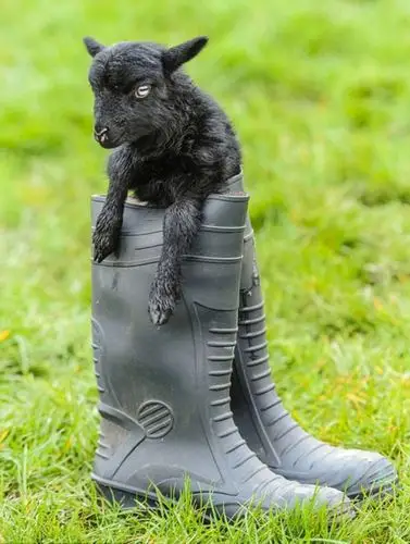 黄晓明下月求婚baby 曾经绯闻女友大盘点(图) 女人三十不是坎 盘点80