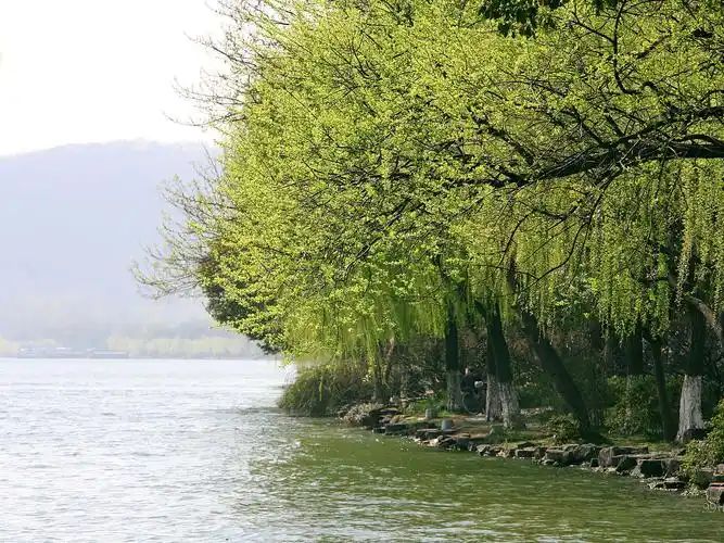杭州西湖苏堤春晓
