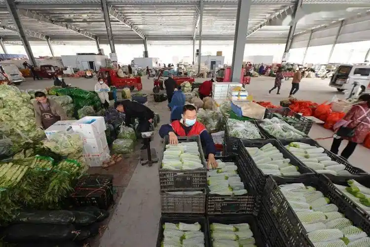 贵州省一级农产品批发市场项目!