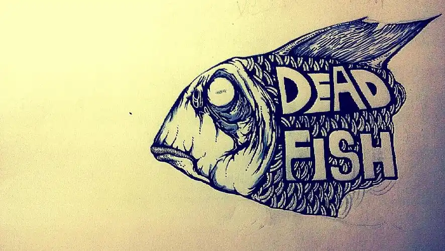 死鱼deadfish