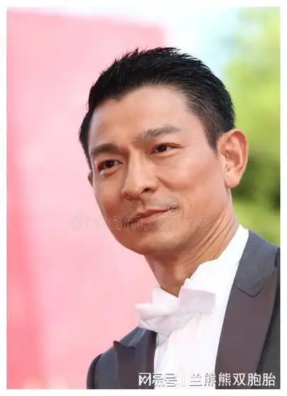 刘德华到底怎么了票房下跌背后的深层探究