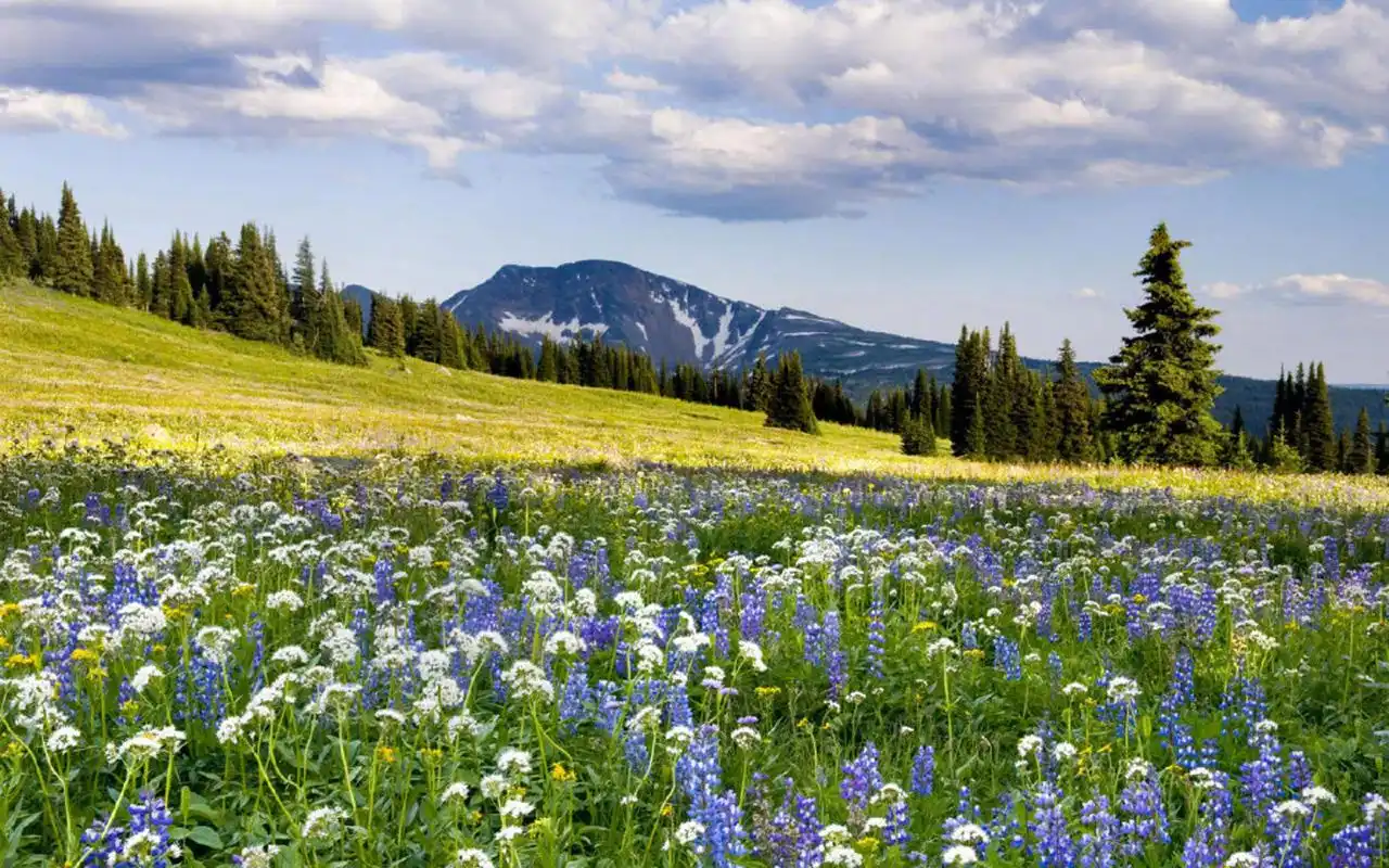 唯美秀丽自然风景图片电脑壁纸,风景壁纸,唯美,护眼,高清,清新,蓝天