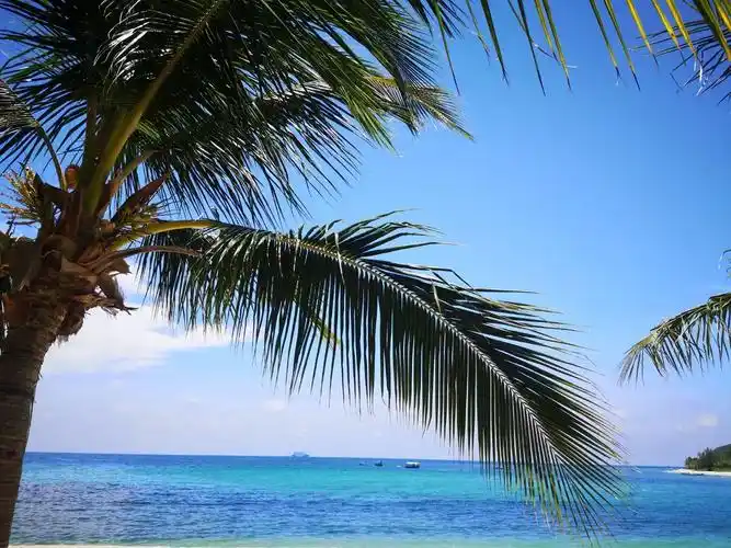 三亚蓝天白云沙滩大海椰子树