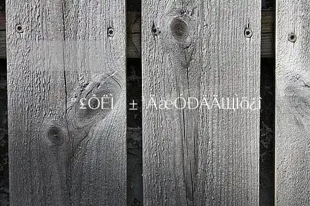 海运提单背面有哪些条款