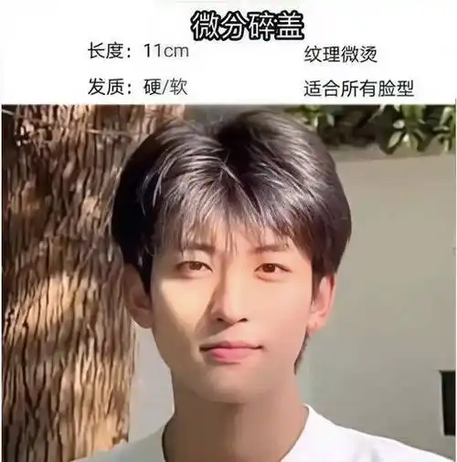 四六分微分碎盖,小鲜肉必备款发型_自然_男生_长度