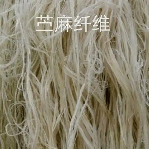 竹原纤维与苎麻纤维的性能比较_测试_长度_tex