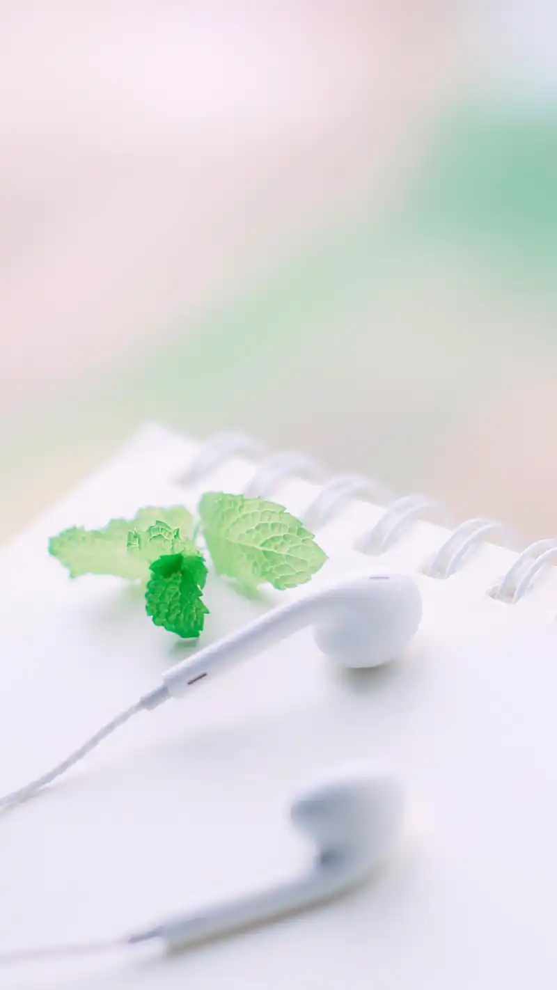 文艺小清新高清唯美手机壁纸图片