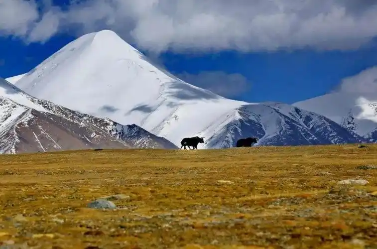 生命之路大地情书昆仑山可可西里三江源自驾之行
