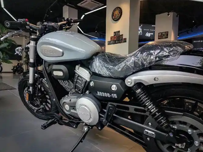 奔达金吉拉日常