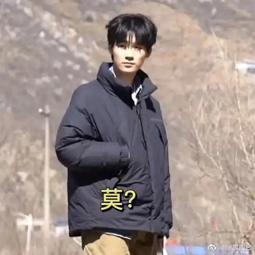 哈哈哈哈#tnt时代少年团  #张真源  #张真源  #张真源  #表情包