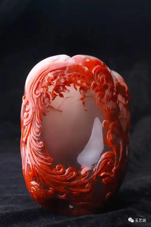 凤凰寓意(彩色凤凰寓意)