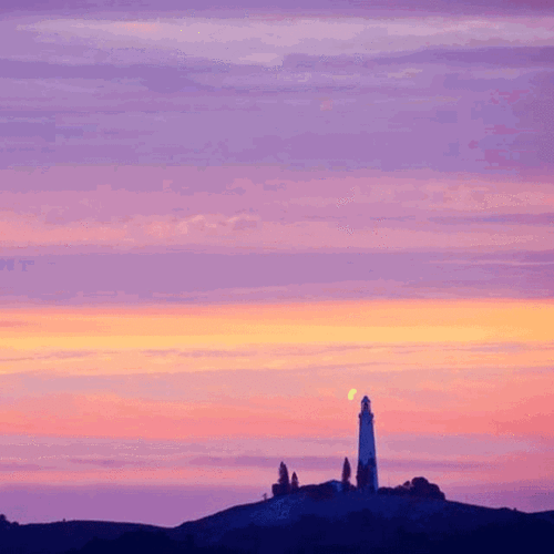 真心人,请查收这封动态全景落日情书_gif@quokka