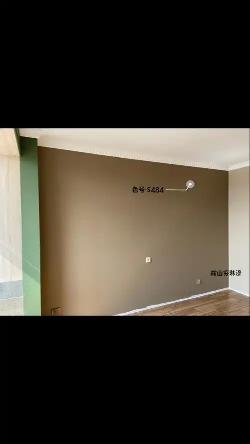 咖啡色乳胶漆背景墙效果图