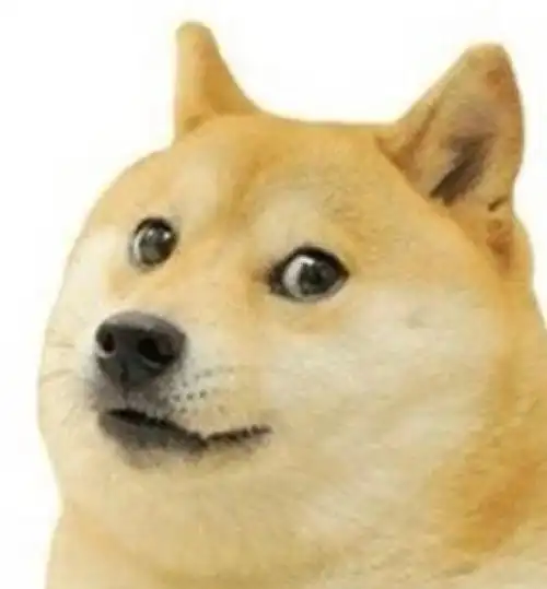 doge表情
