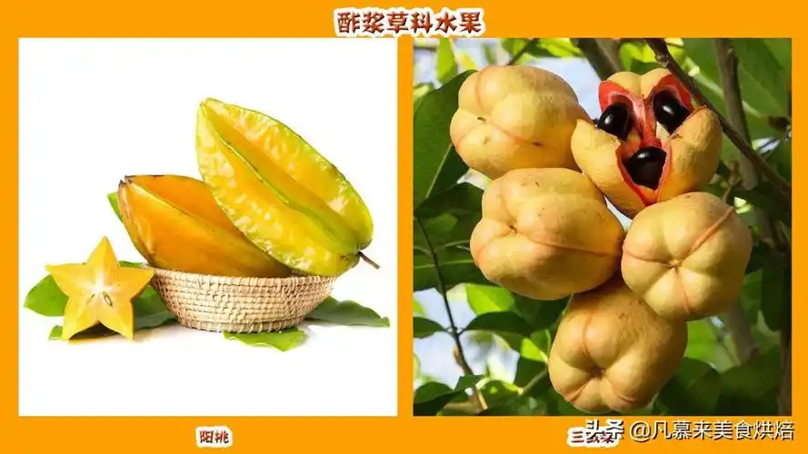 水果注册名字大全(注册水果商标名字推荐)