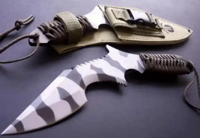 假如你是一名刺客以下匕首4选1你选哪个