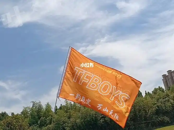 我为tfboys举大旗