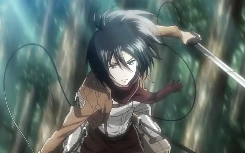 【进巨】三笠·战斗美学