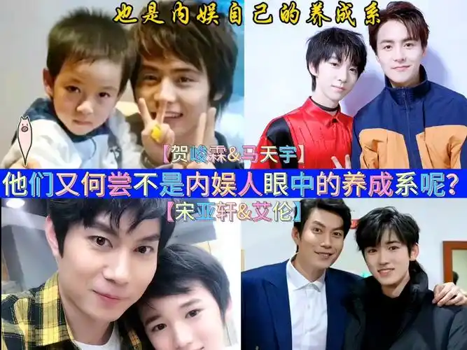 宋亚轩贺峻霖 内娱人眼中的养成系 #贺峻霖宋亚轩 #马天宇艾伦