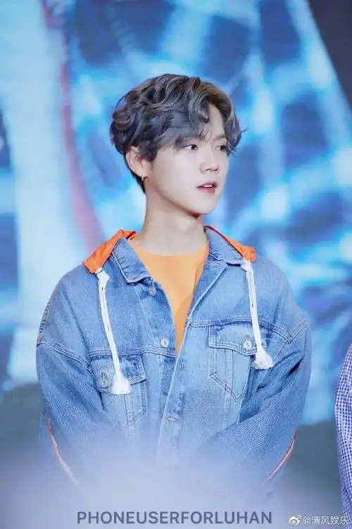 鹿晗金色卷毛造型