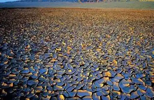 罗布泊双鱼玉佩的灵异事件作为所以才对外宣称其失踪而是因为这部机器